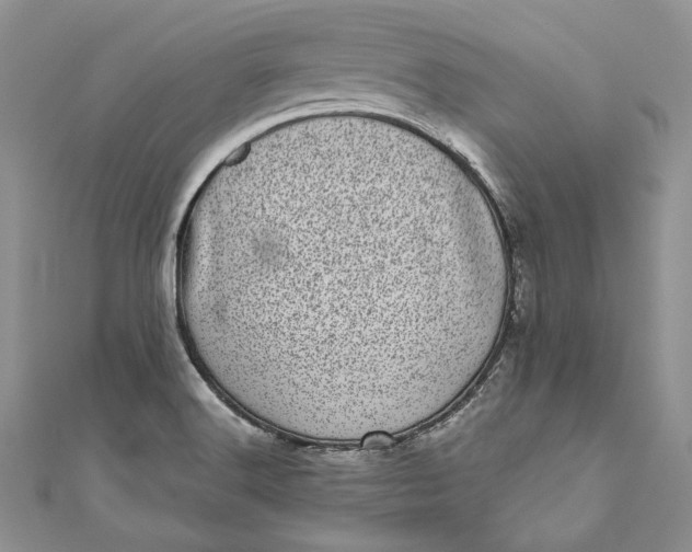X0000110881516200907021446