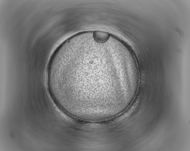 X0000110881517200907021446