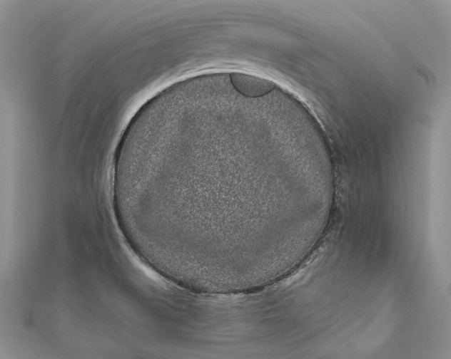 X0000110881519200907021446
