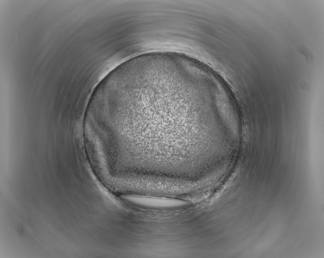 X0000110881521200907021446