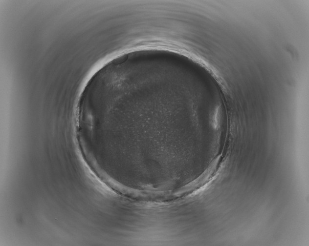 X0000110881522200907021446
