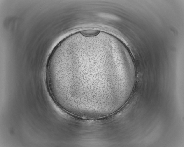 X0000110881523200907021446