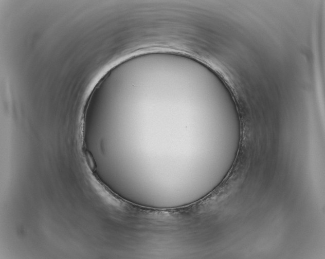 X0000110881524200907021446