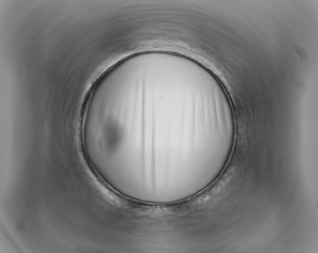 X0000110881525200907021446