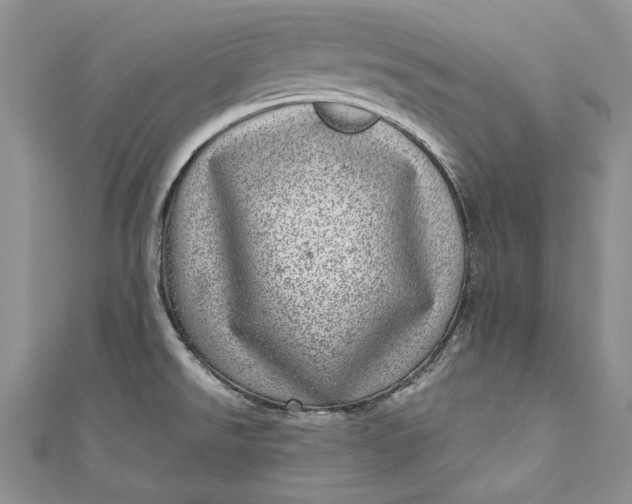 X0000110881526200907021446