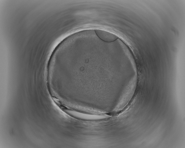 X0000110881527200907021447