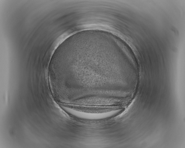 X0000110881529200907021447
