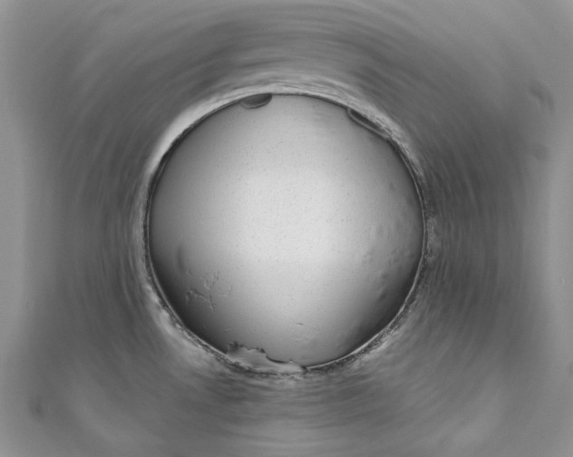 X0000110881530200907021447