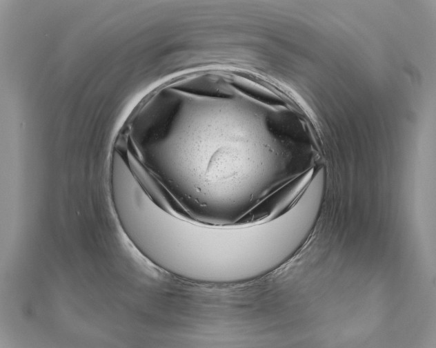 X0000110881532200907021447