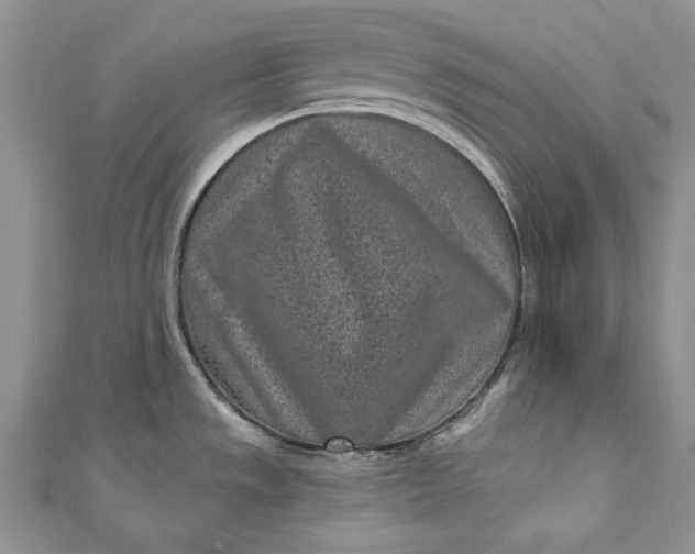X0000110881533200907021447