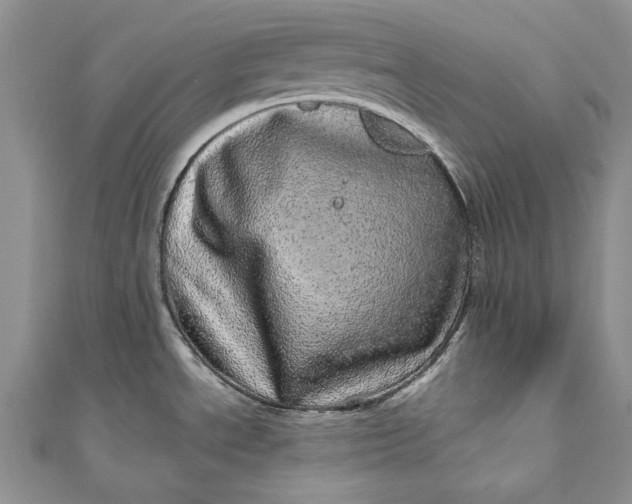 X0000110881534200907021447