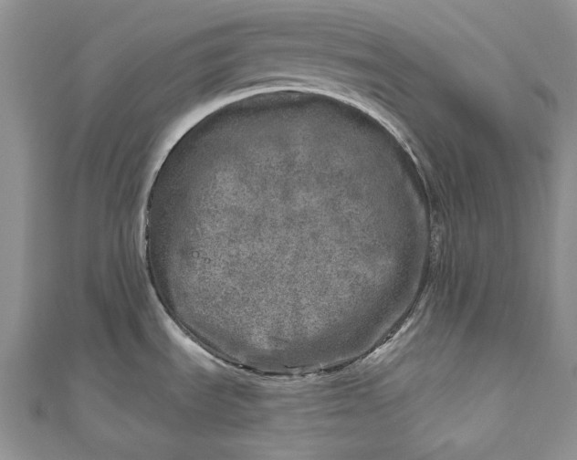 X0000110881535200907021447