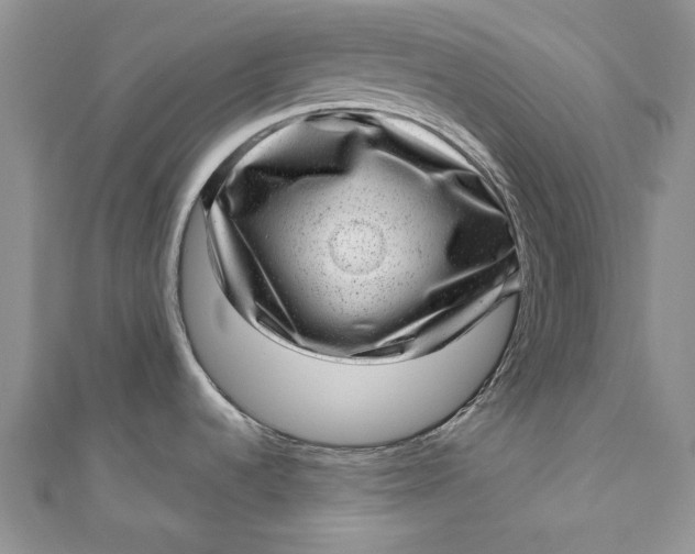 X0000110881536200907021447