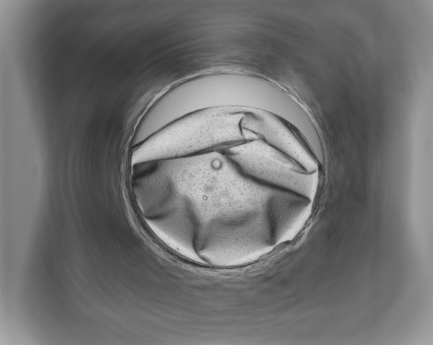 X0000110880001200907091431