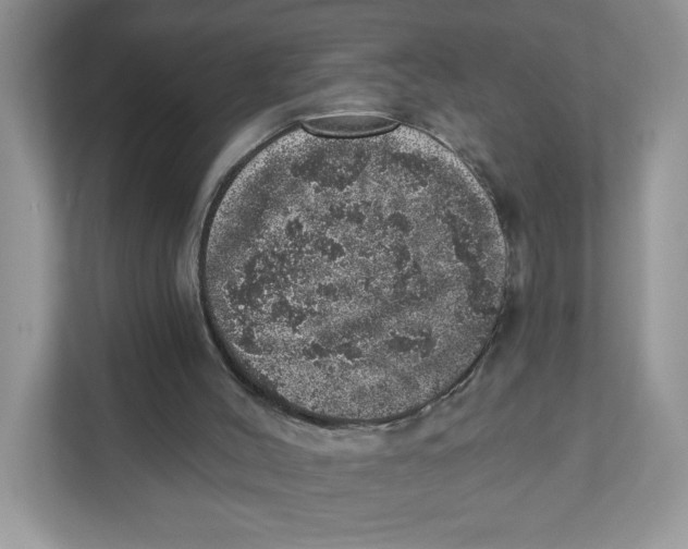 X0000110880004200907091431