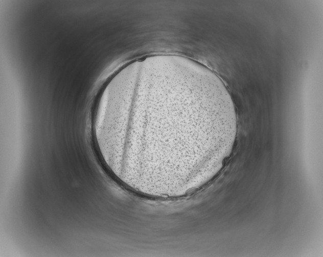 X0000110880005200907091431