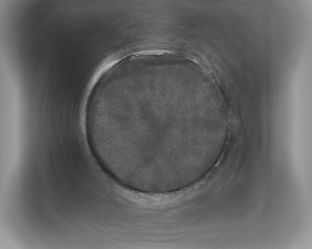 X0000110880006200907091431