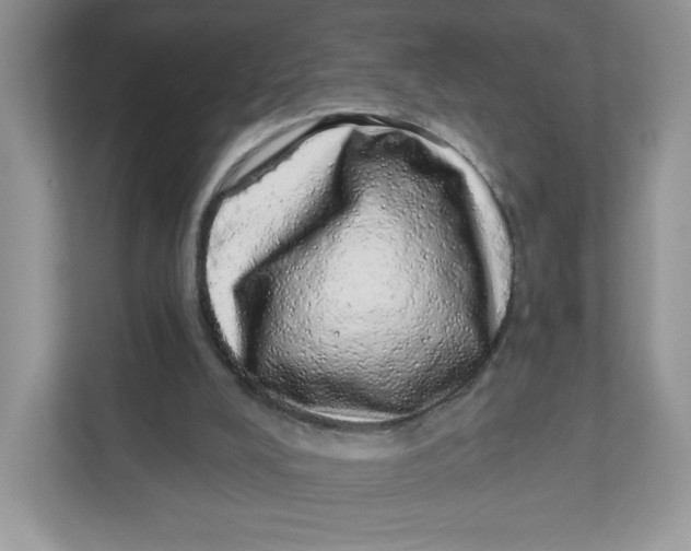 X0000110880008200907091431