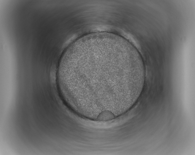 X0000110880010200907091431