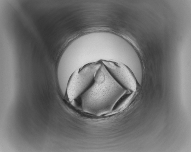 X0000110880013200907091431