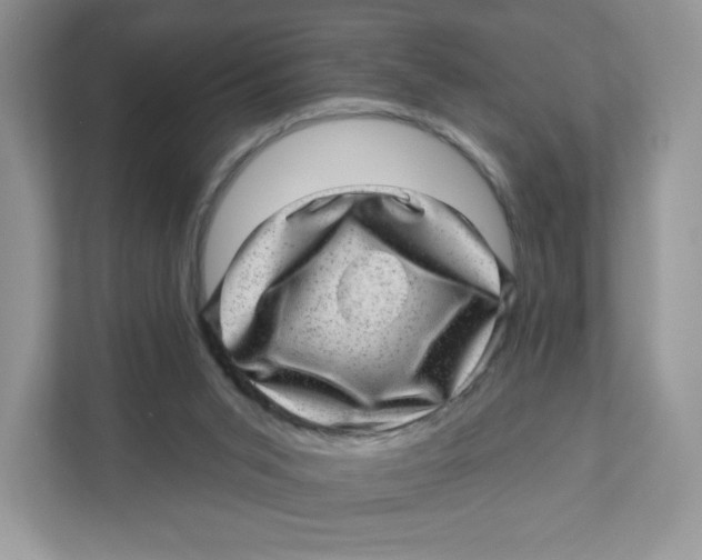 X0000110880015200907091430