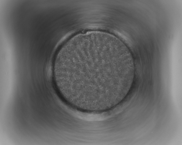 X0000110880016200907091430