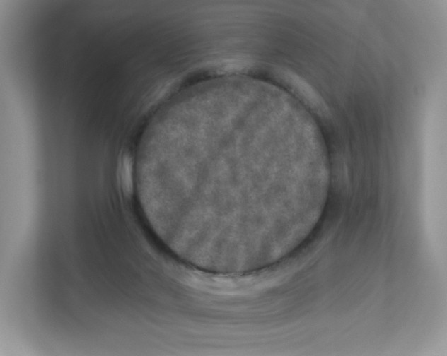 X0000110880022200907091430