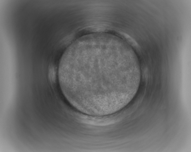 X0000110880026200907091430