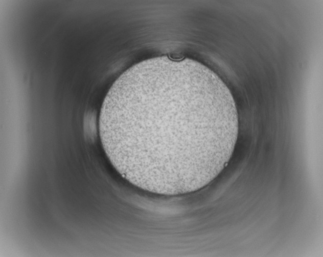 X0000110880028200907091430