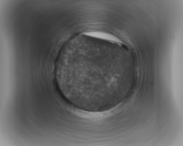 X0000110880031200907091430