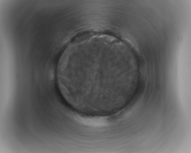 X0000110880032200907091430