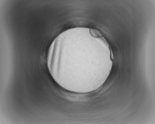 X0000110880040200907091430