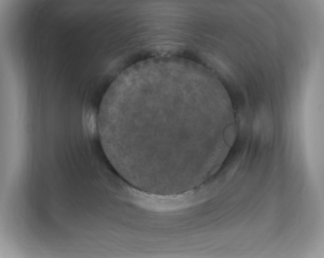 X0000110880042200907091430