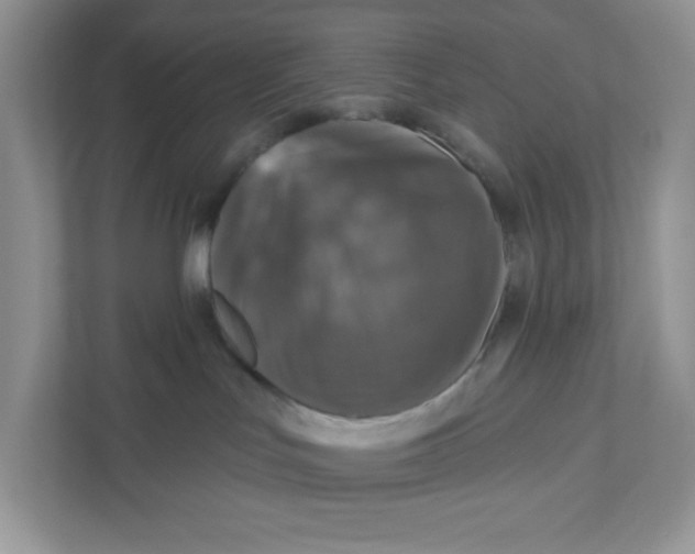 X0000110880047200907091430