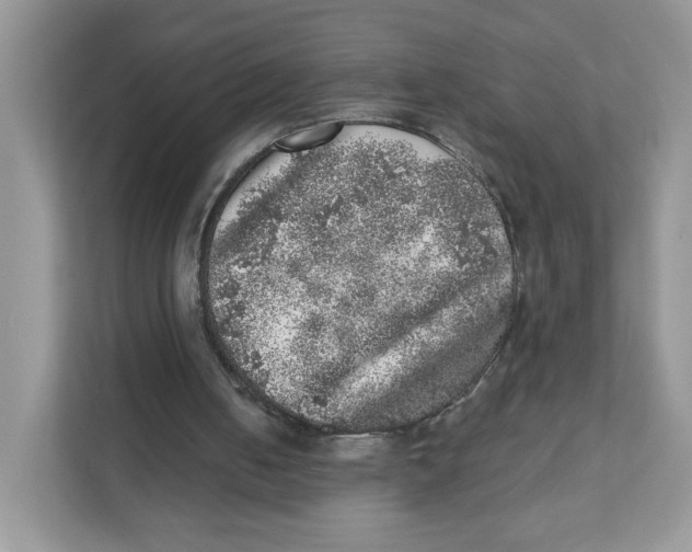 X0000110880050200907091429