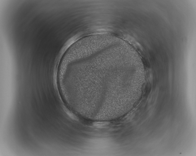 X0000110880051200907091429