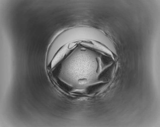 X0000110880052200907091429