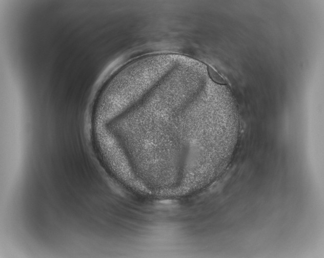 X0000110880053200907091429