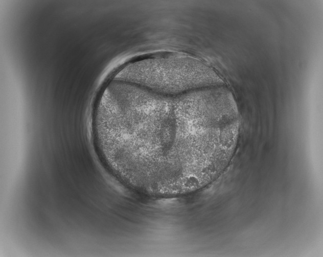 X0000110880054200907091429