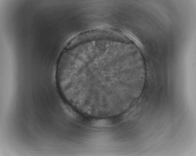 X0000110880058200907091430