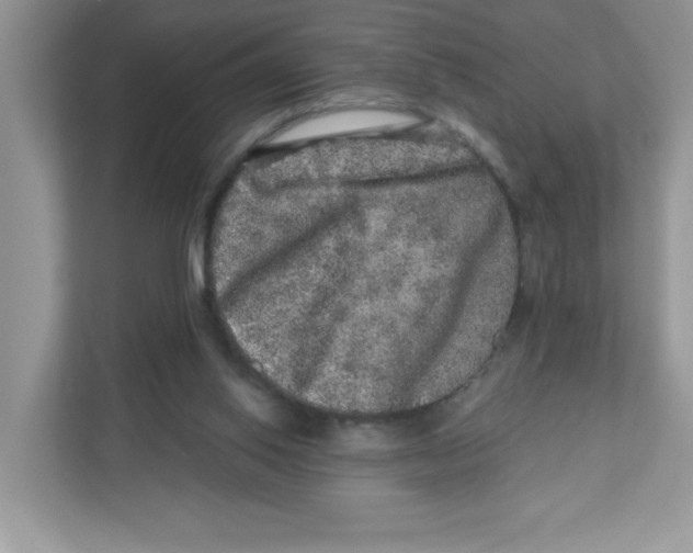 X0000110880062200907091430