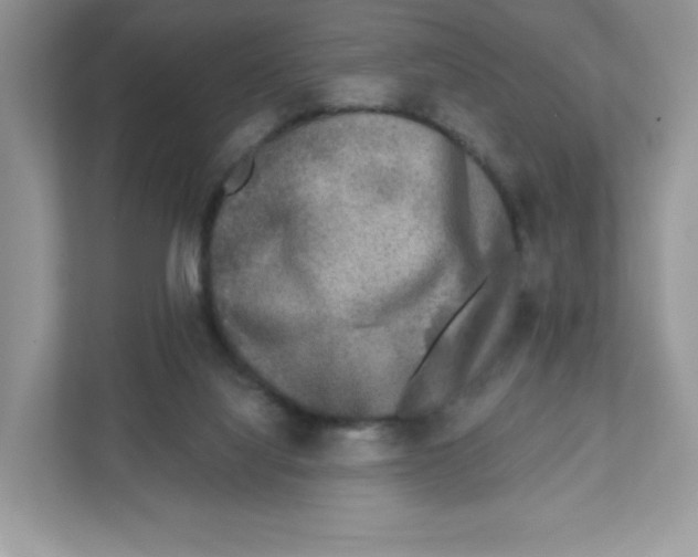 X0000110880068200907091430