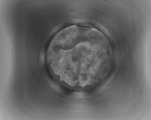 X0000110880071200907091430