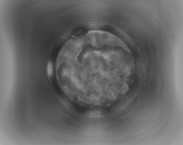 X0000110880075200907091430