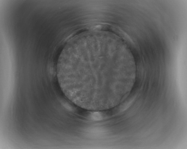 X0000110880091200907091430