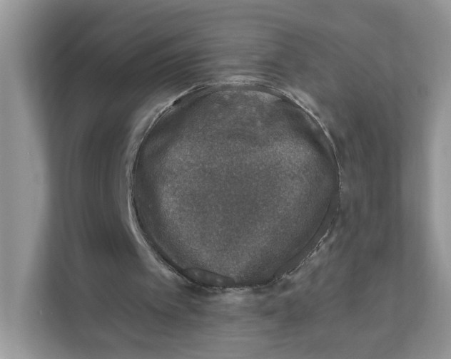 X0000110880097200907091429