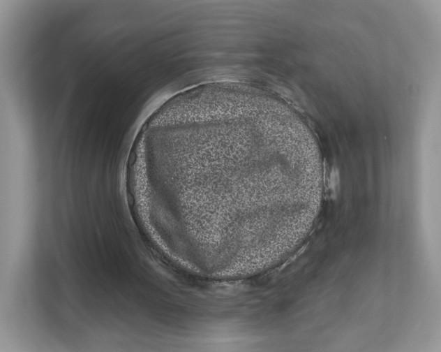 X0000110880099200907091429