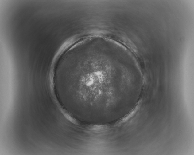 X0000110880101200907091429