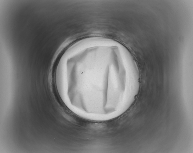 X0000110880102200907091429