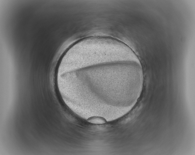 X0000110880103200907091429